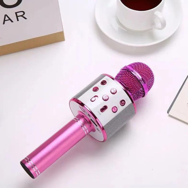 Karoke bluetooth speaker