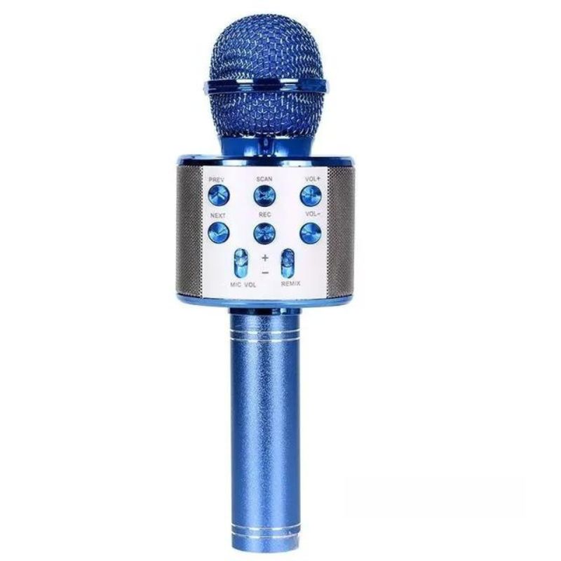 Karoke bluetooth speaker